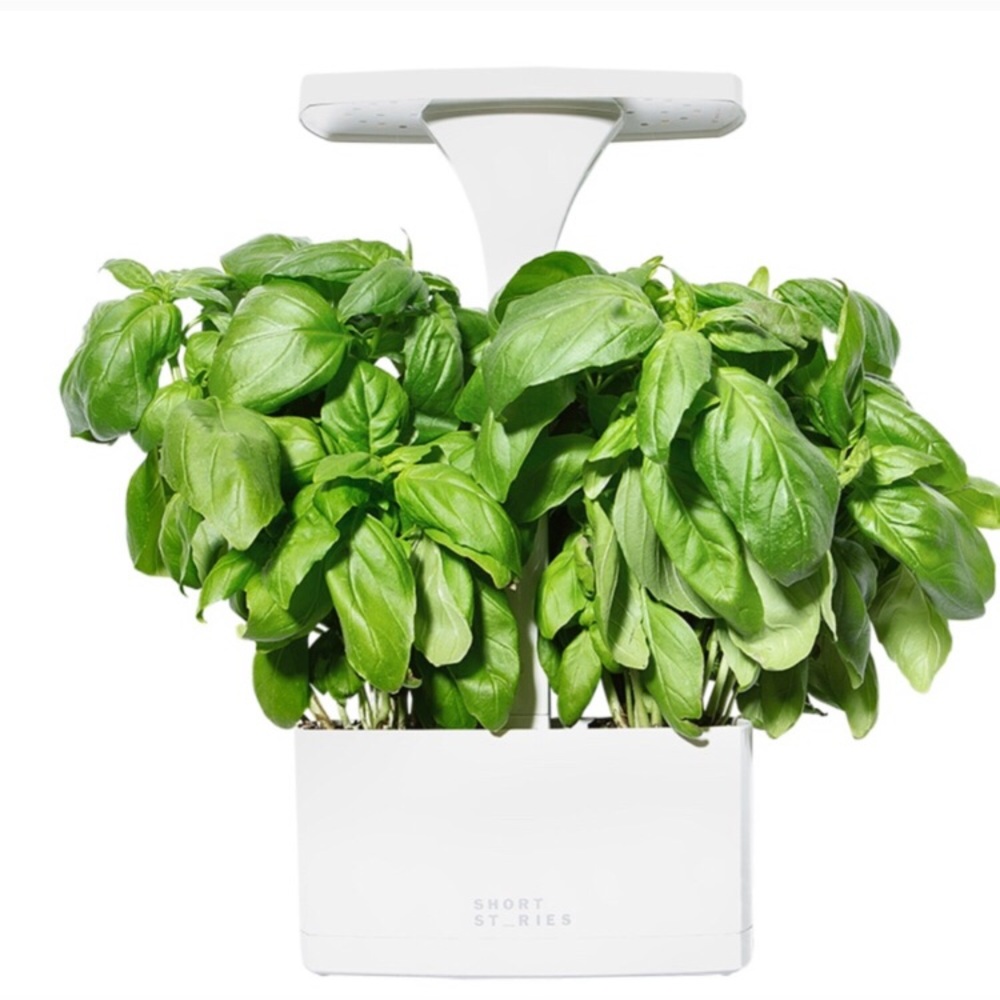 LED indoor planter